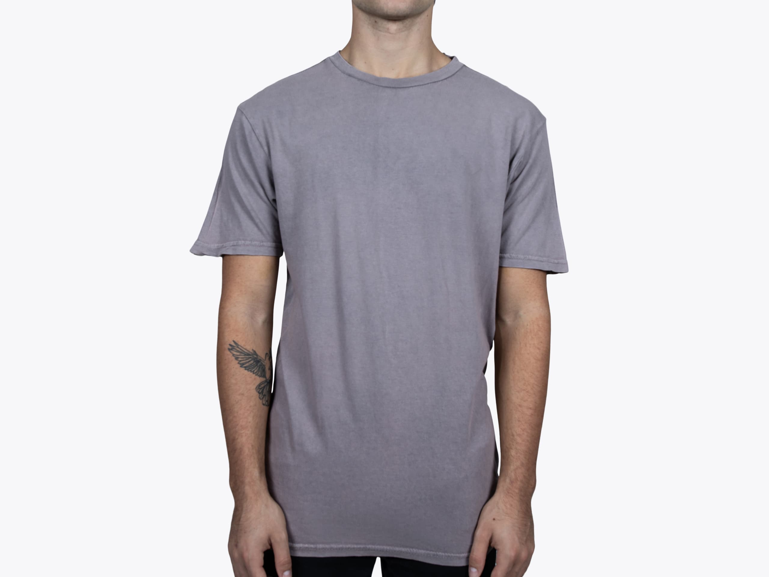 Lane Seven LST002 Vintage Crewneck Tee in Vintage Zinc (model:male, size:medium, view:front)